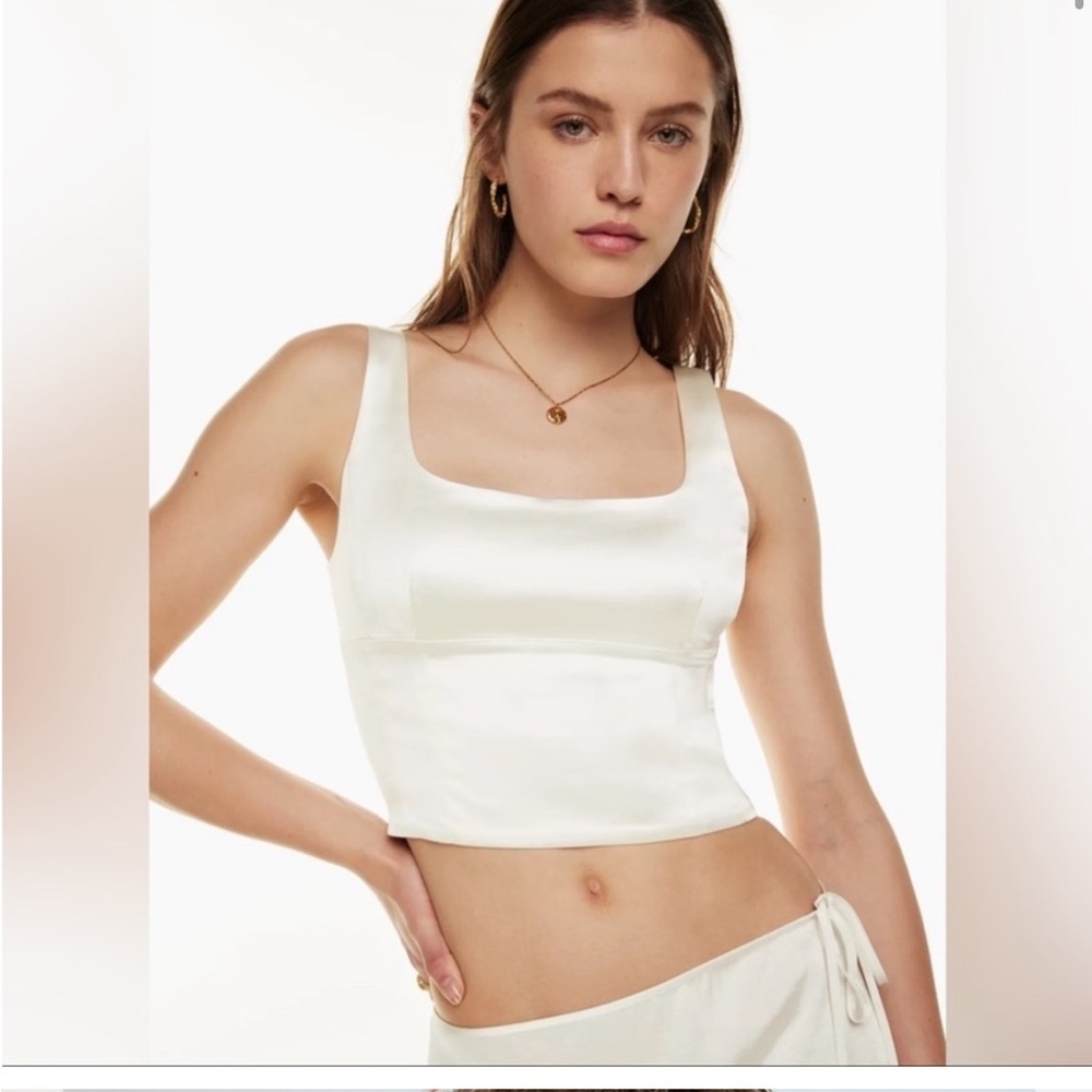 NWT Wilfred Aritzia Shine Crop Bustier Top Light Birch Size XL